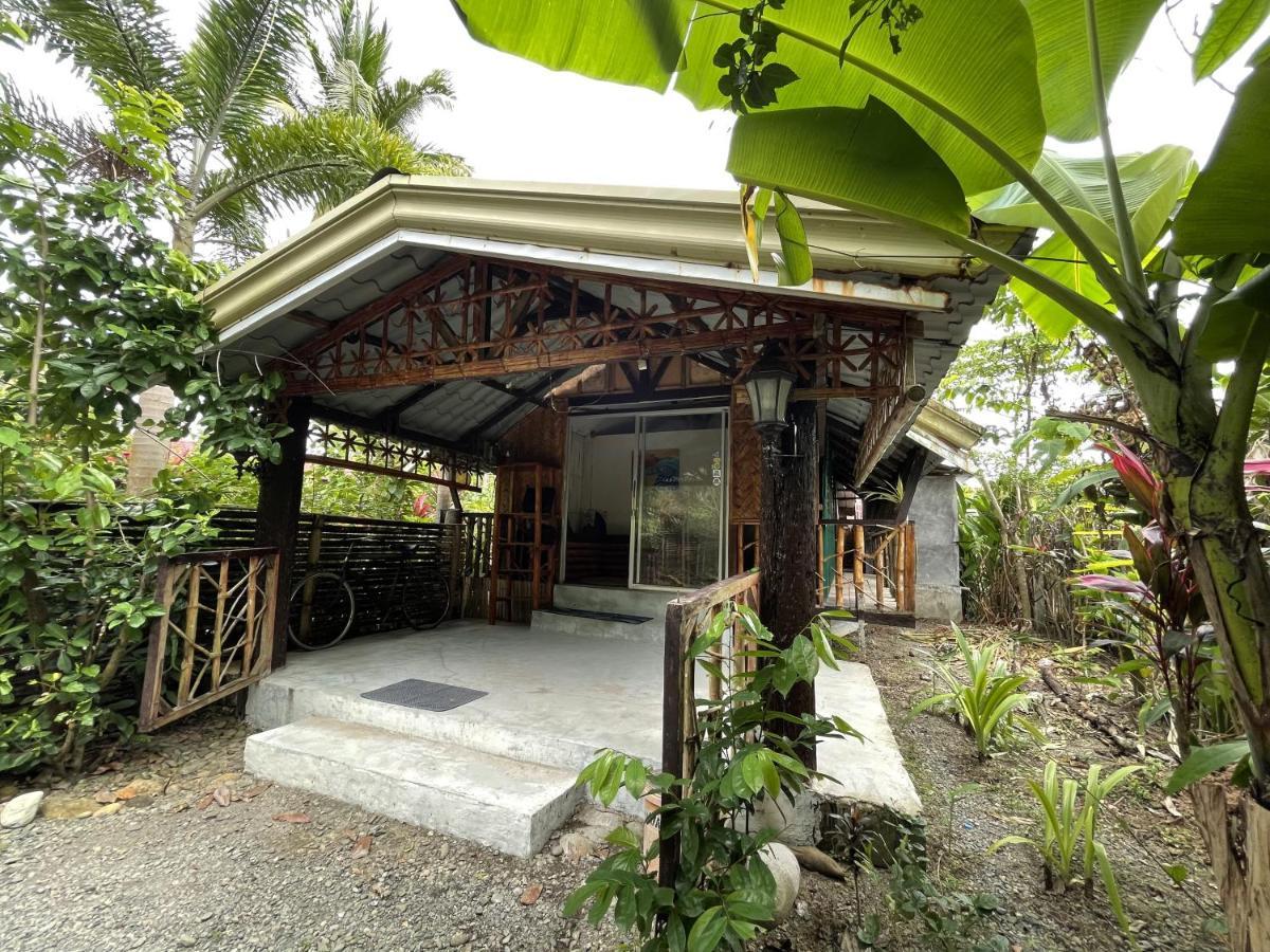 The Jungle Hut Bed & Breakfast บาแลร์ ภายนอก รูปภาพ